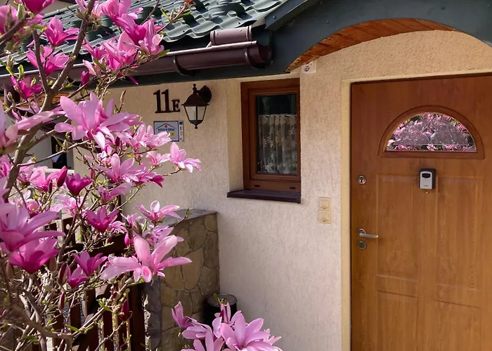 Apartamenty-studio Wczasy Ferie - Pobyty Rodzinne